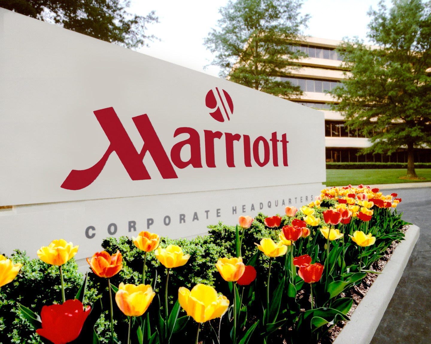 2 N POLAROID Polaroid 45