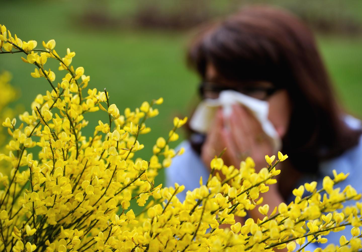 FRANCE-HEALTH-ALLERGIES-POLLEN