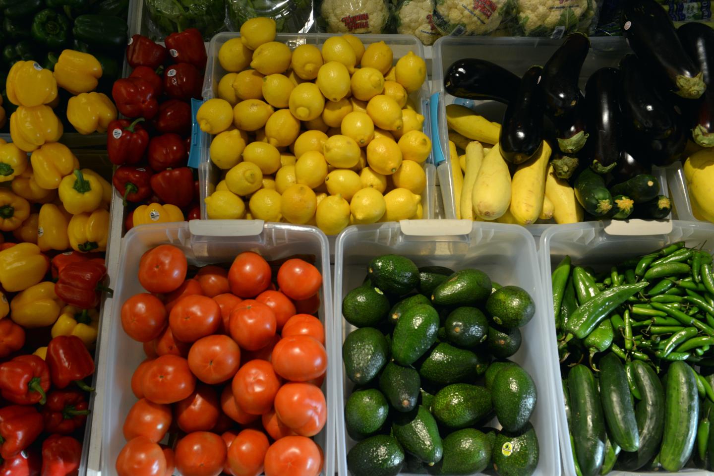New Food Safey Laws