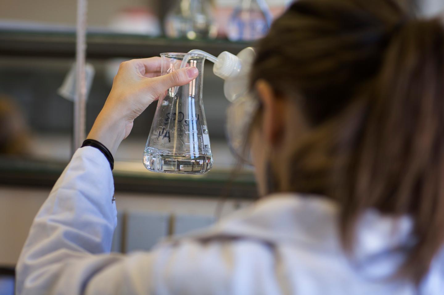 Nutrition Technology Studies