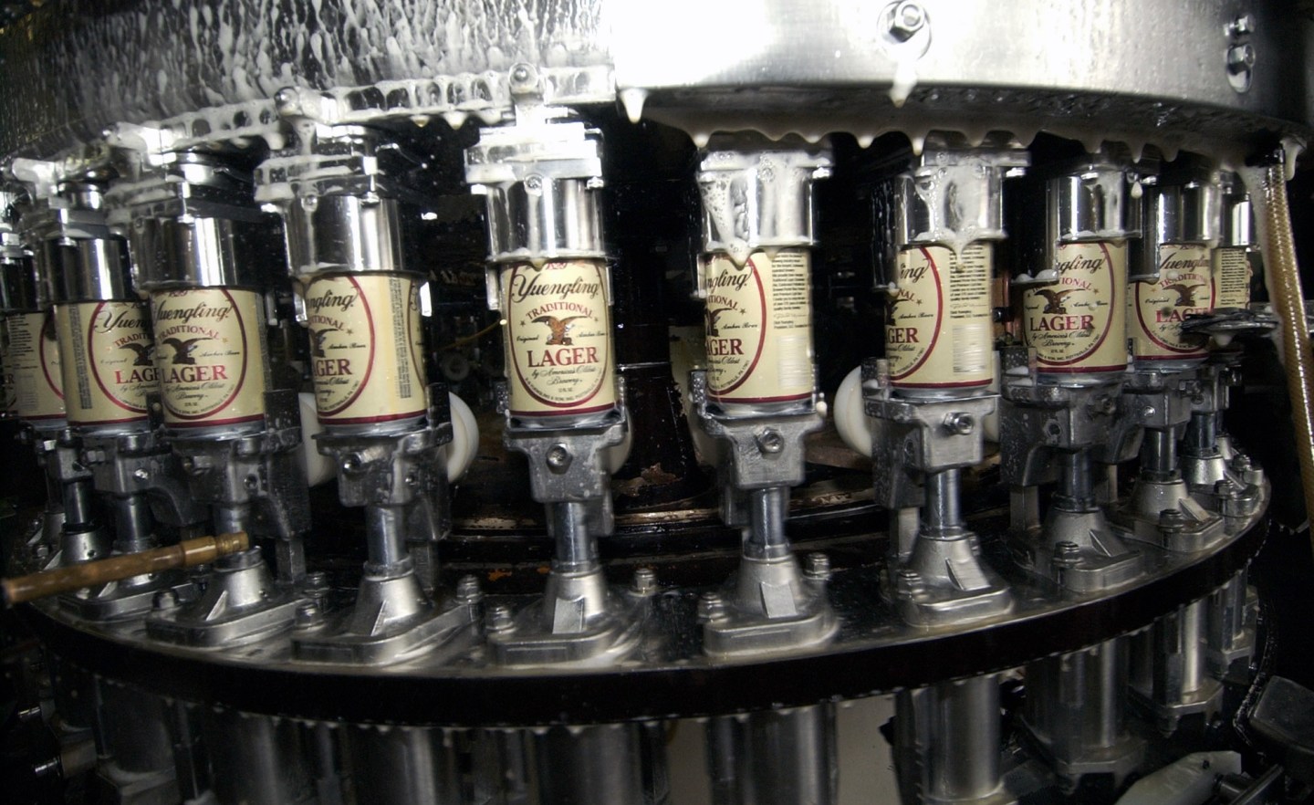 Cans of lager are filled at the Yuengling brewery in Pottsvi