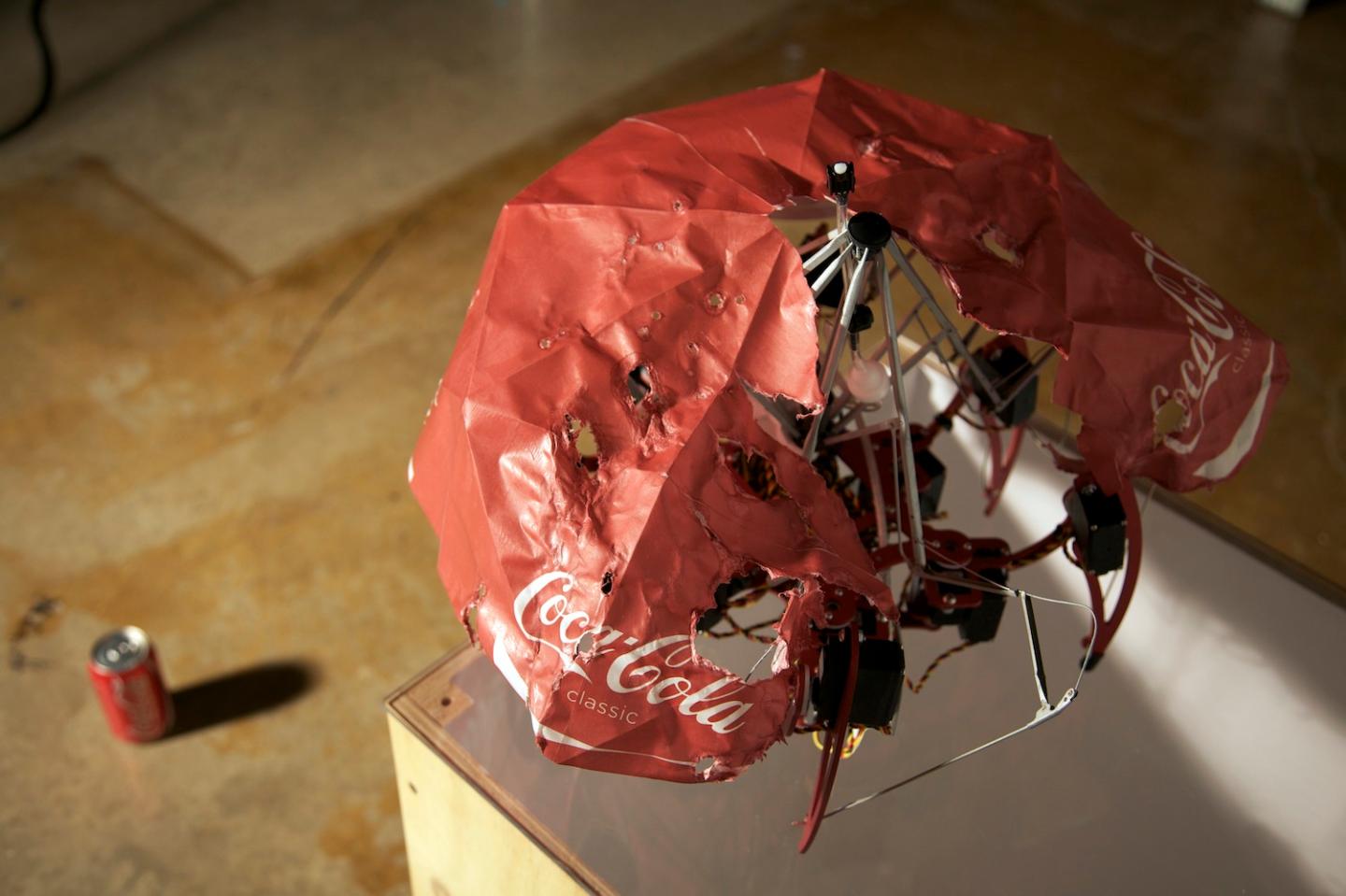 Matt Kenyon Coke Is It art