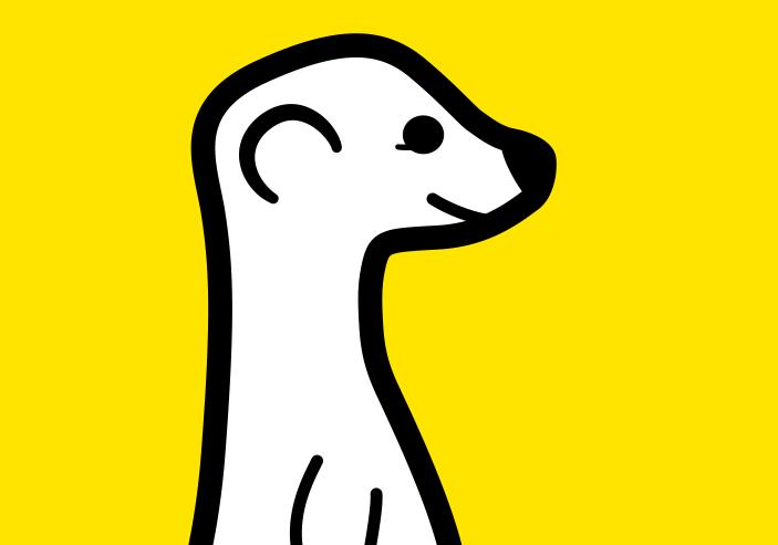 Everything you need to know about the hot new app Meerkat