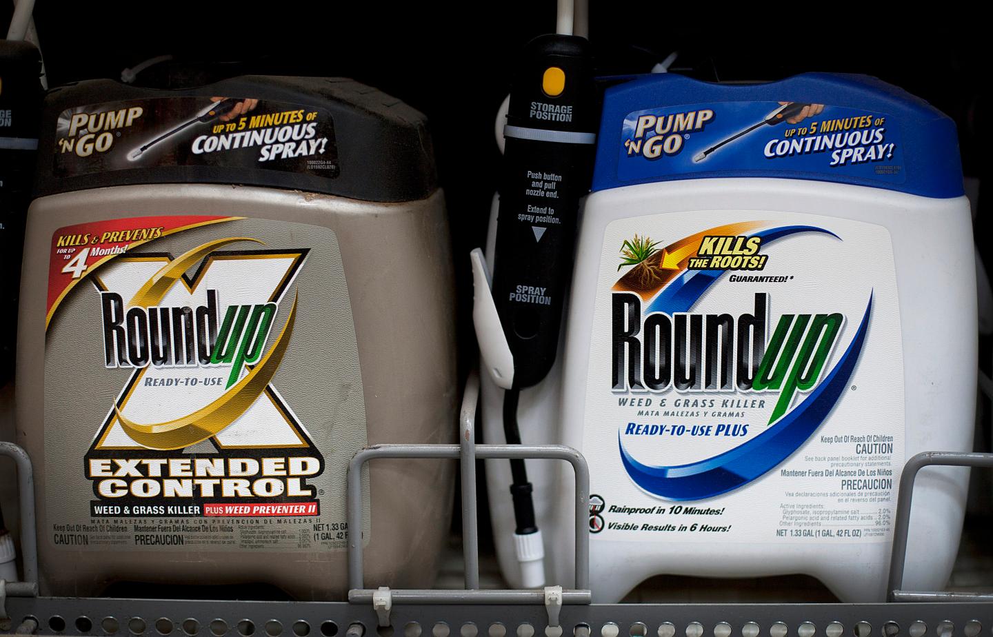 Monsanto Releases First-Quarter Earnings