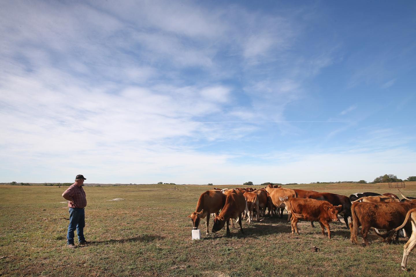 Uninsured Family Of Farmers Plans To Opt Out Of Affordable Health Care Act