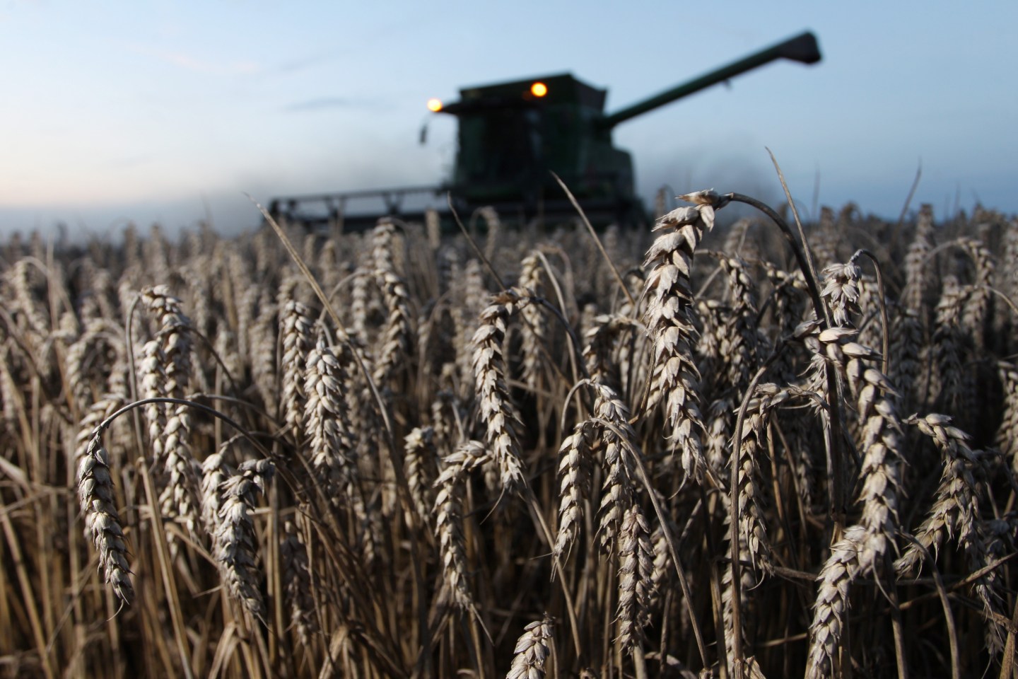 GERMANY-AGRICULTURE-WHEAT-HARVEST