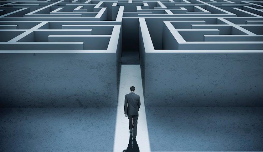 career path maze decisions