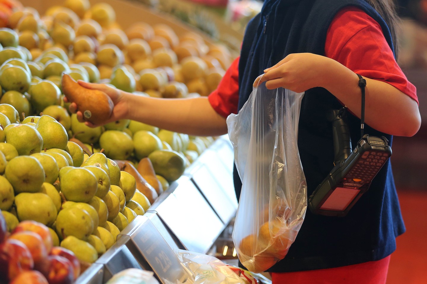 Interior Of Loblaws Grocery Store