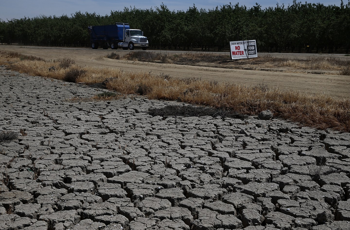 California's Central Valley Heavily Impacted By Severe Drought