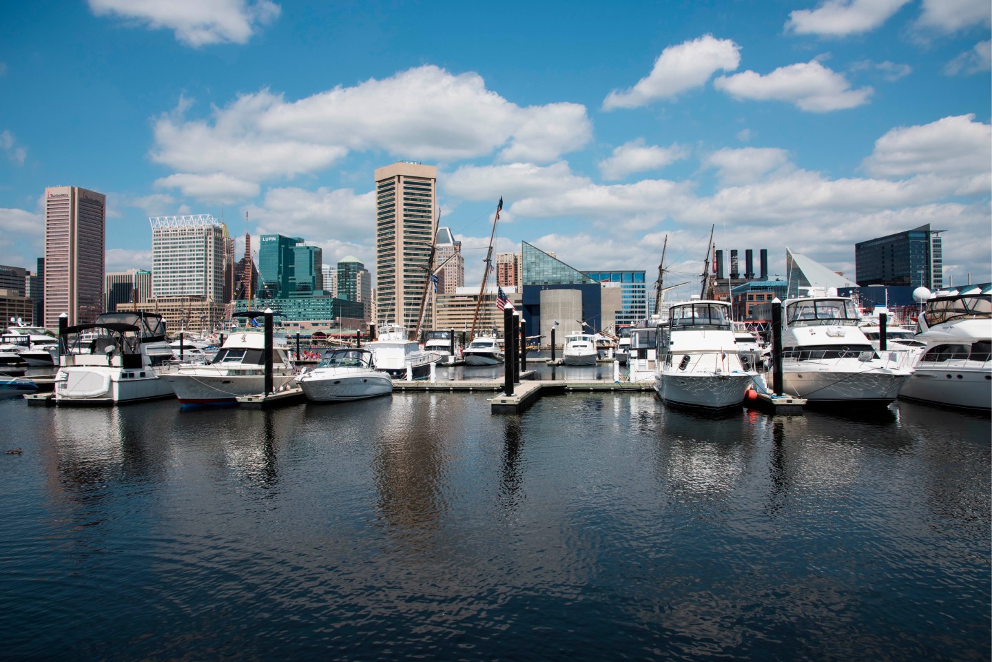 Pleasure boats tied up in Baltimore harbor, Maryland