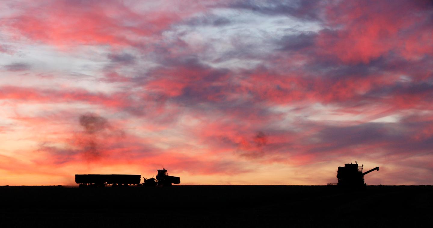 A combine harvester and a tractor with trailers work after sunset on a wheat field at the Solgonskoye farming company in the village of Solgon, southwest from Krasnoyarsk