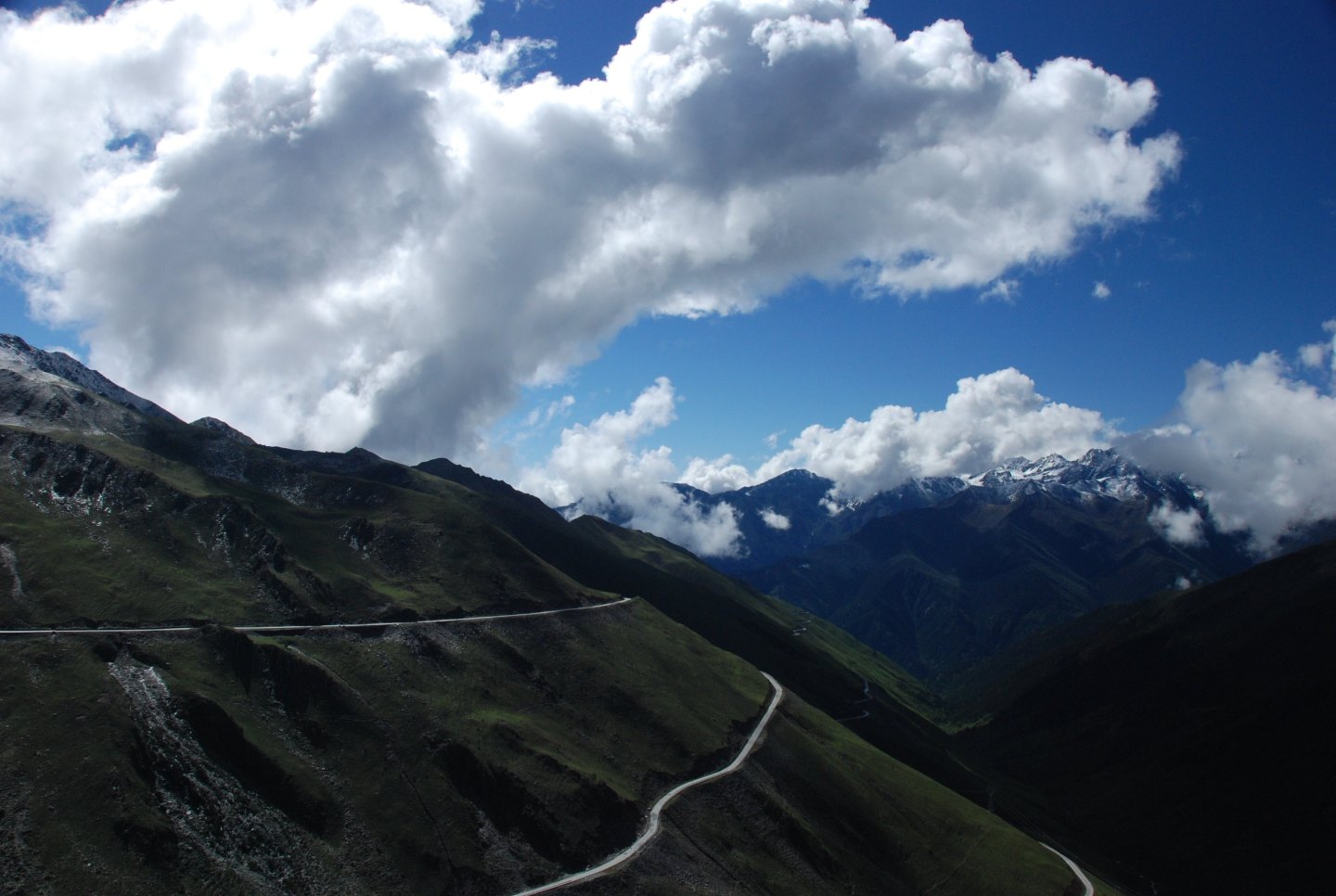 NBC News - Panda Bears