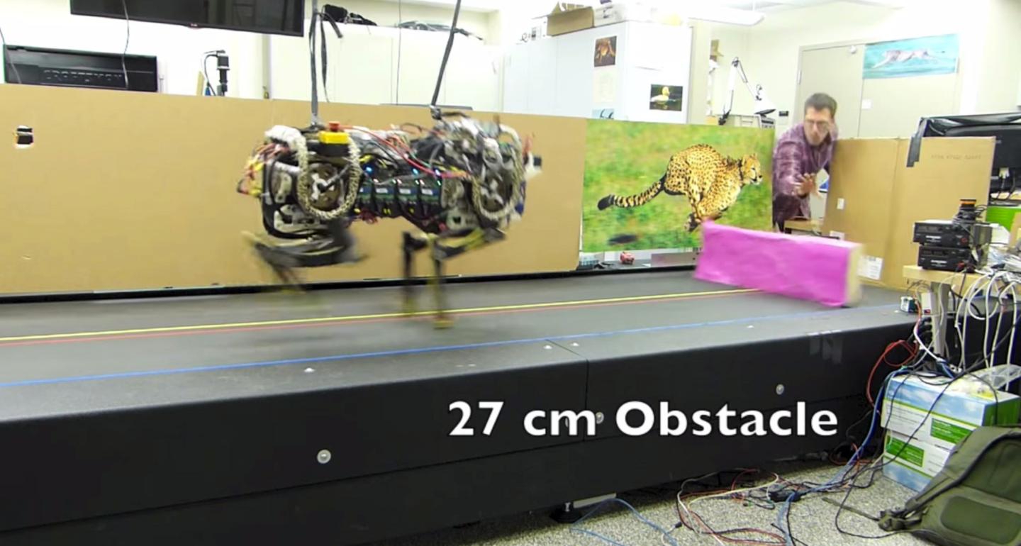 Cheetah Robot