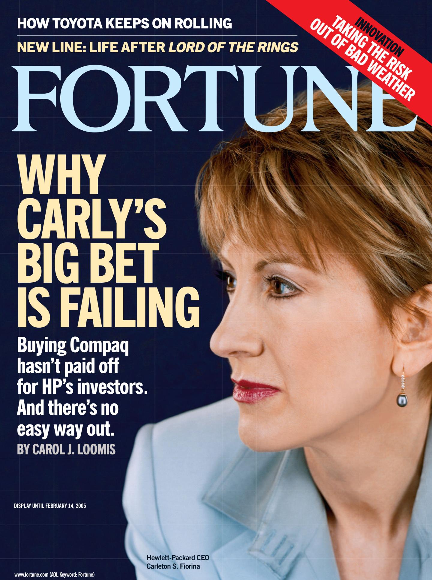 Why Carly’s big bet is failing