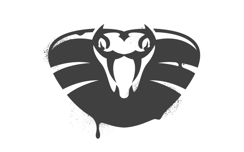 Amazon says its cloud not bitten by Venom flaw