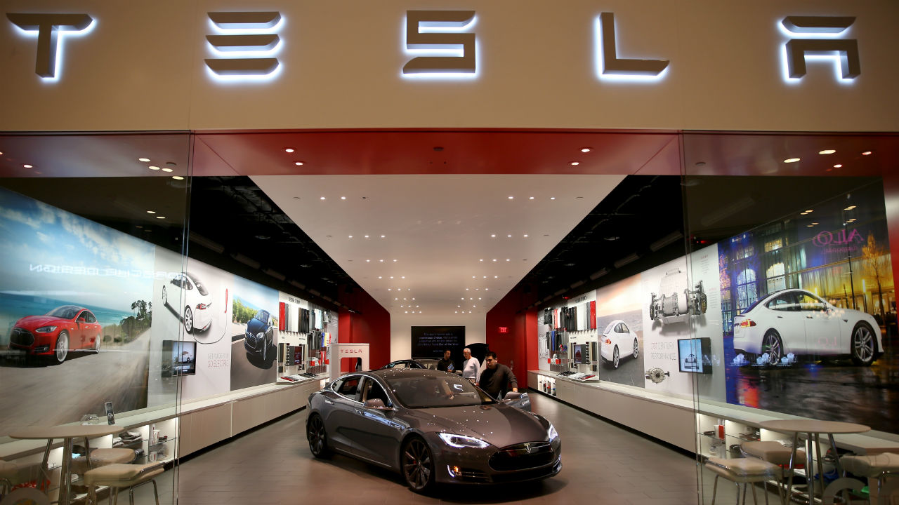 Tesla shareholders want a vegan car