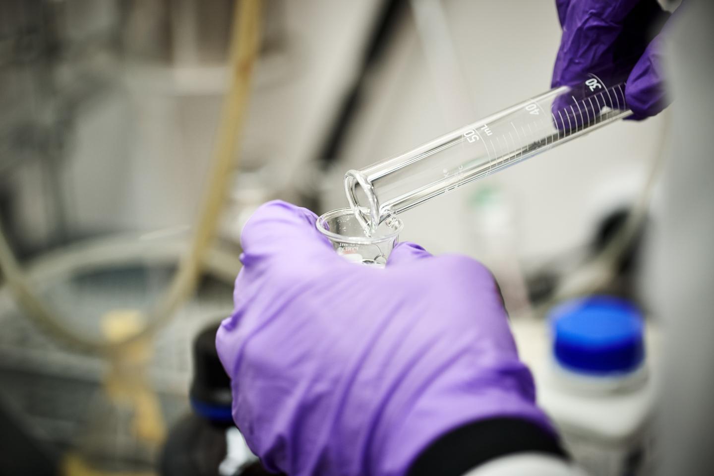 These are the Fortune 500’s fastest-growing pharma companies