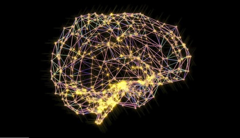 Human Brains Are Wired to Blame Rather Than Praise
