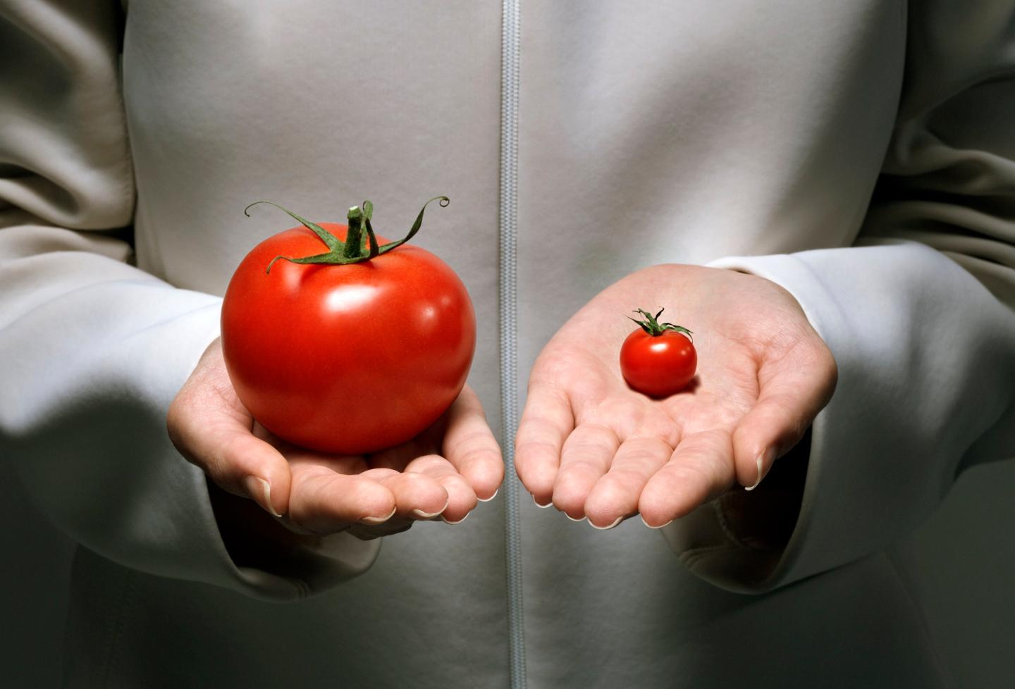 Fortune 500 CEO: The non-GMO trend is an ’emotional’ issue