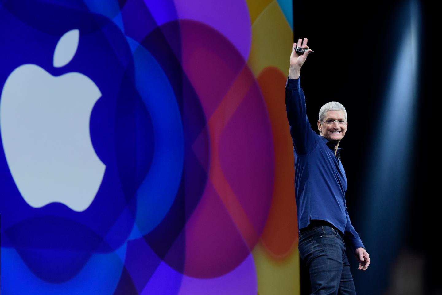Are Share Buybacks Cannibalizing Companies?