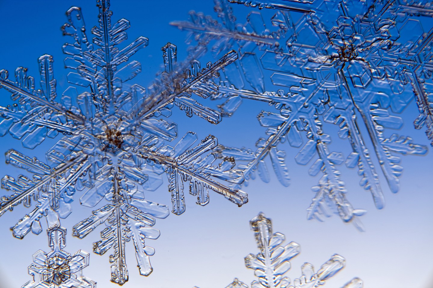 Ice Crystal Snowflake closeup