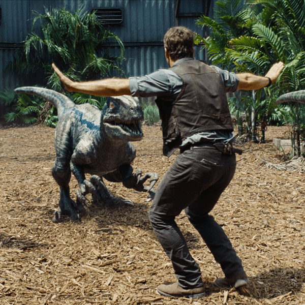 Chris Pratt and a velociraptor, in Universal's 'Jurassic World.'