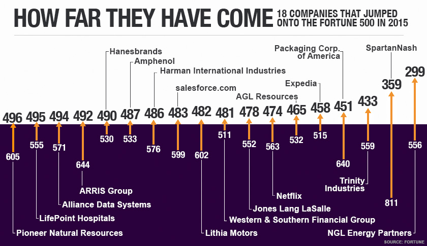 A total of 26 companies were new to the Fortune 500 list in 2015. Here we  look at the 17 newcomers that just missed the cutoff in 2014.