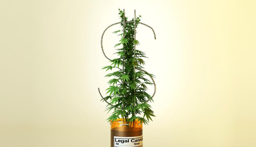 Investors finally seeing marijuana’s high market potential