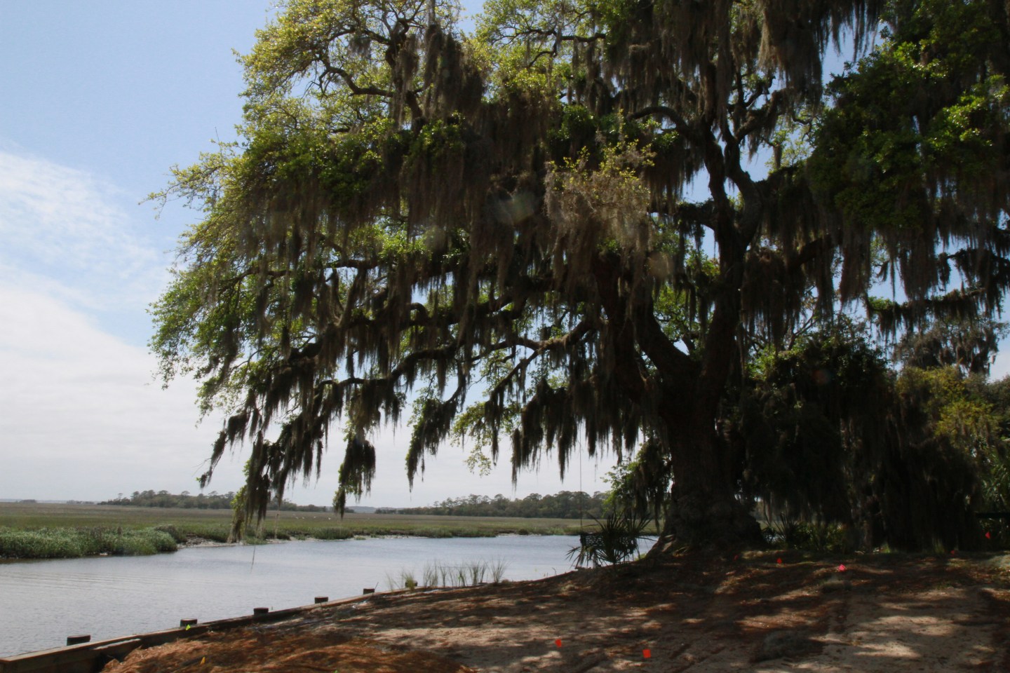 Little St. Smons Island