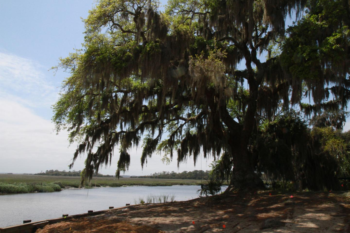 Little St. Smons Island