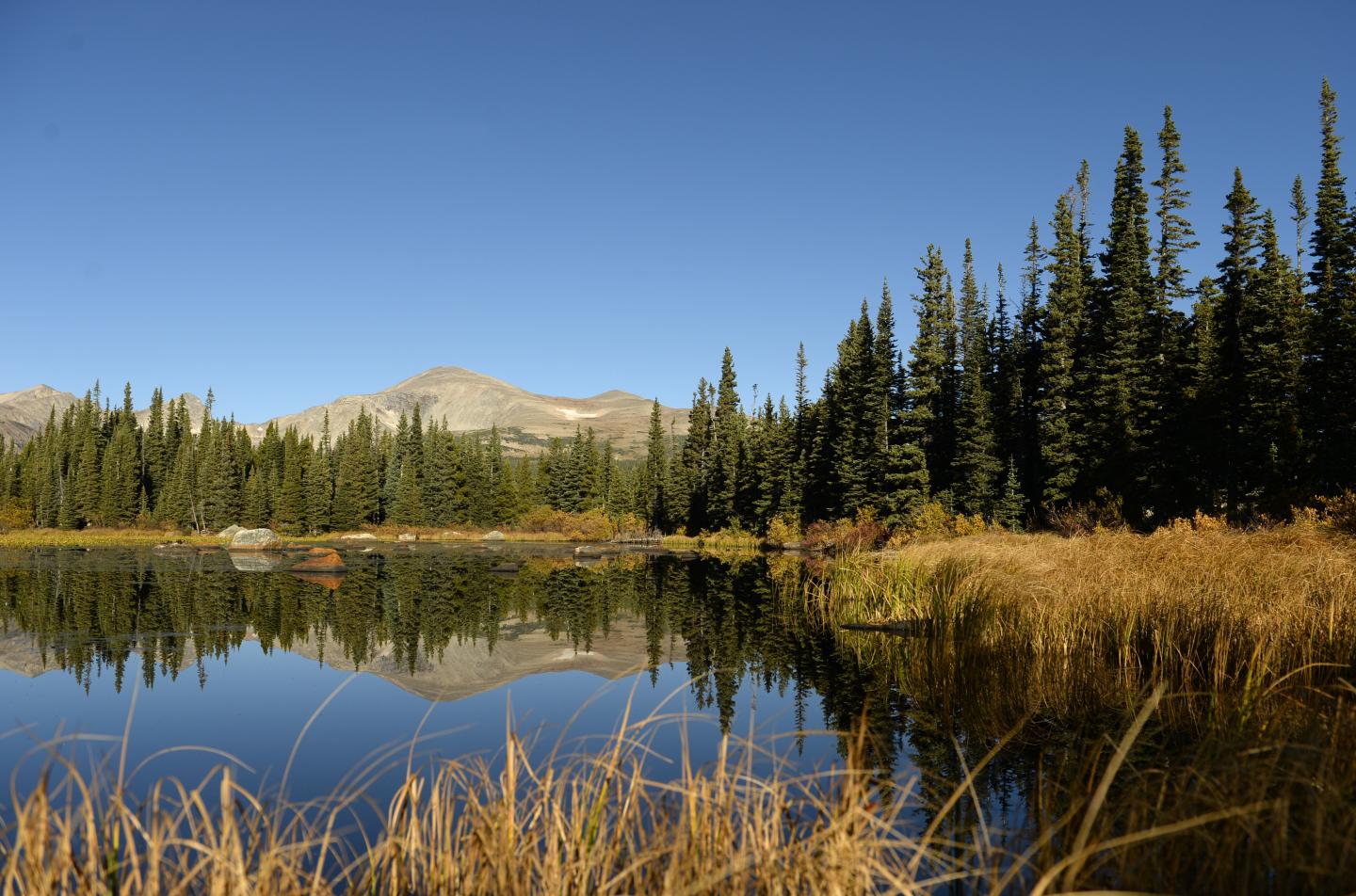 U.S. Forsest Service proposing  limits on filming and photography in federal wilderness