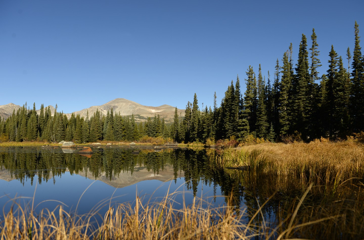 U.S. Forsest Service proposing limits on filming and photography in federal wilderness