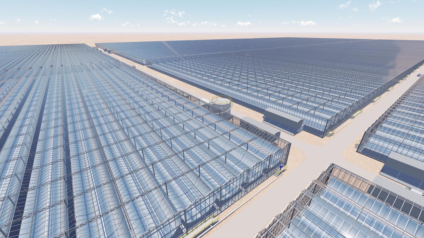 A massive solar farm will help produce oil in Oman