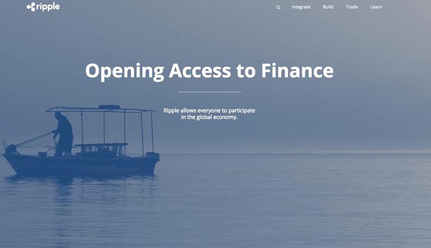 Why did this hot cryptocurrency company halt new account signups?