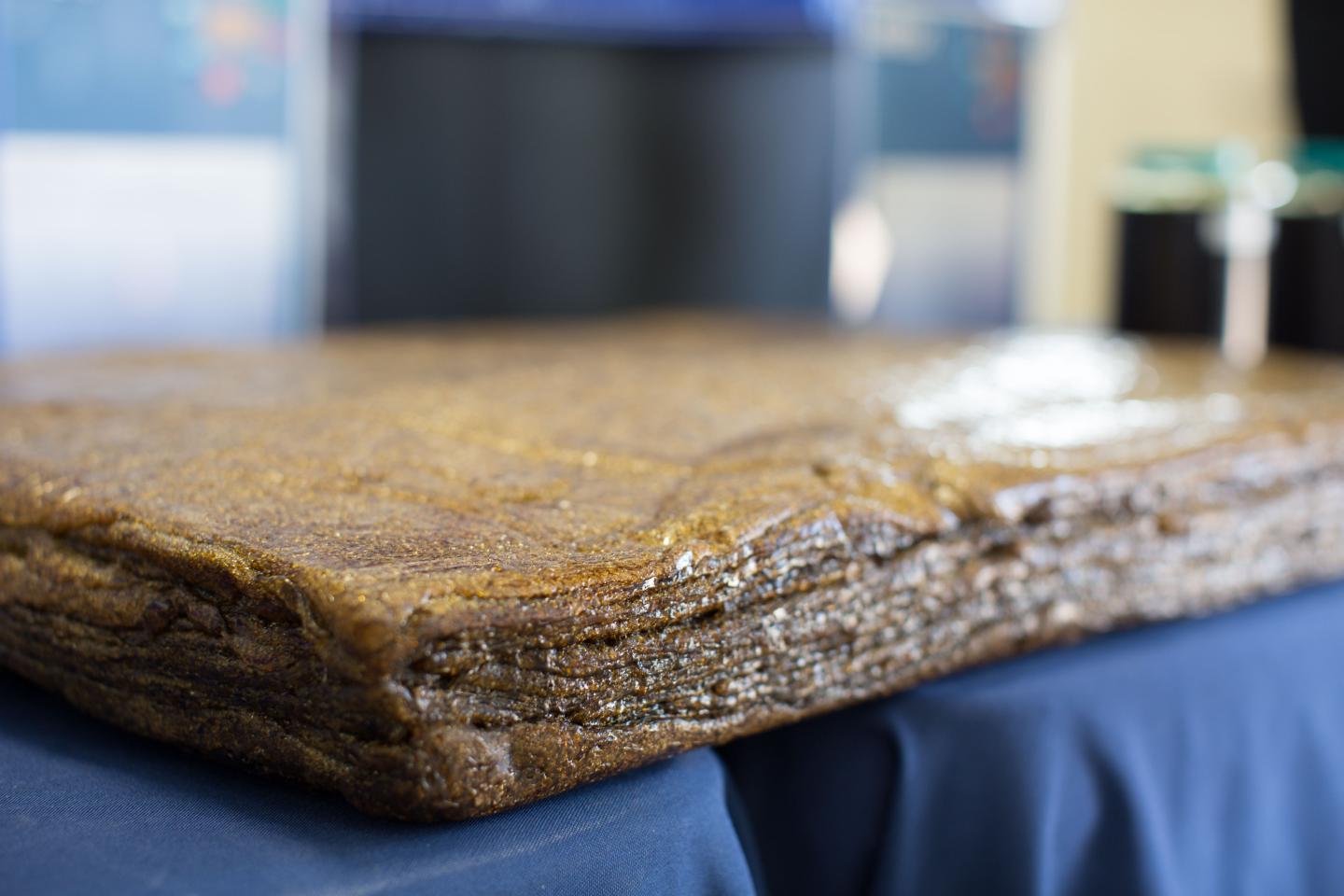 block of rubber from Guayule plant