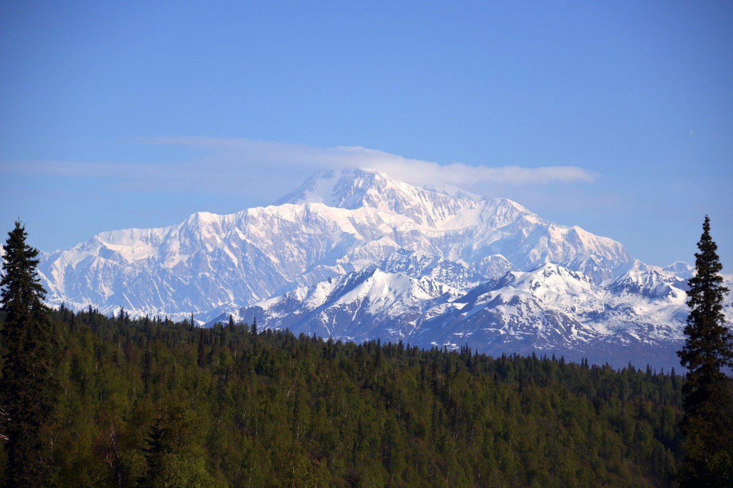 North America's Highest Peak Mt. McKinley, Denali National Park