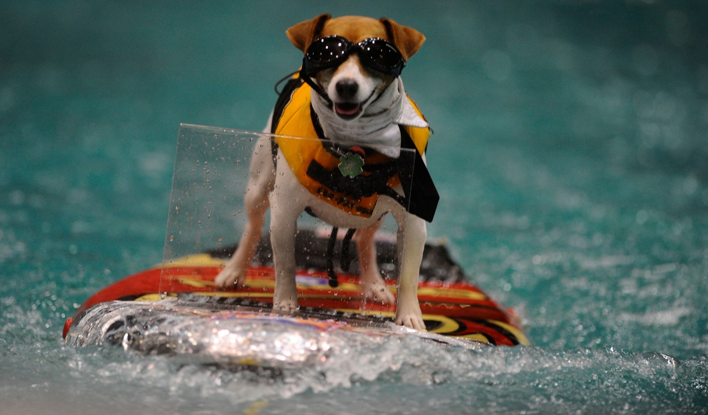 JAN 20th 2012.pics of . with this cold spell the 54th annual Toronto International Boat Show is wrap