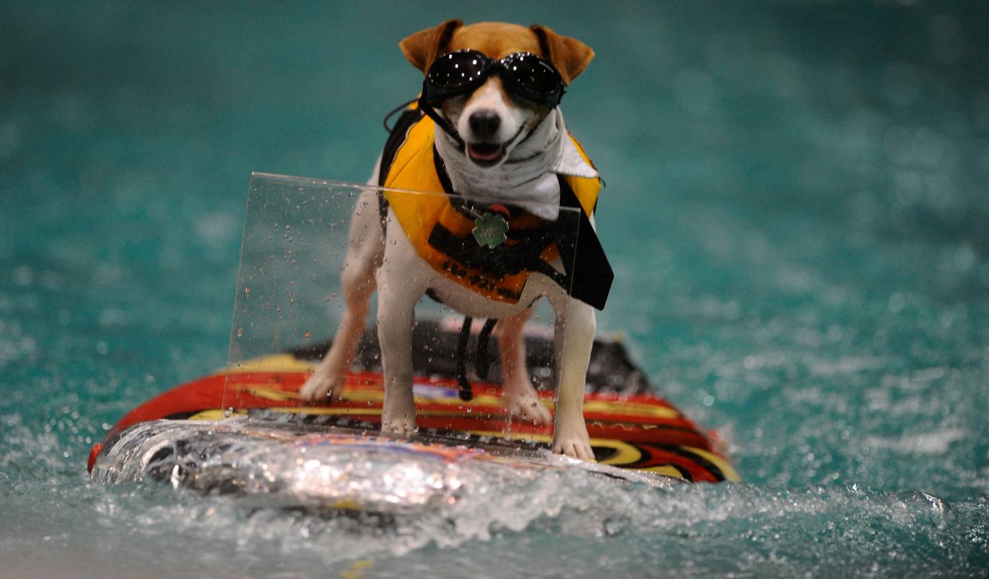 JAN 20th 2012.pics of . with this cold spell the 54th annual Toronto International Boat Show is wrap