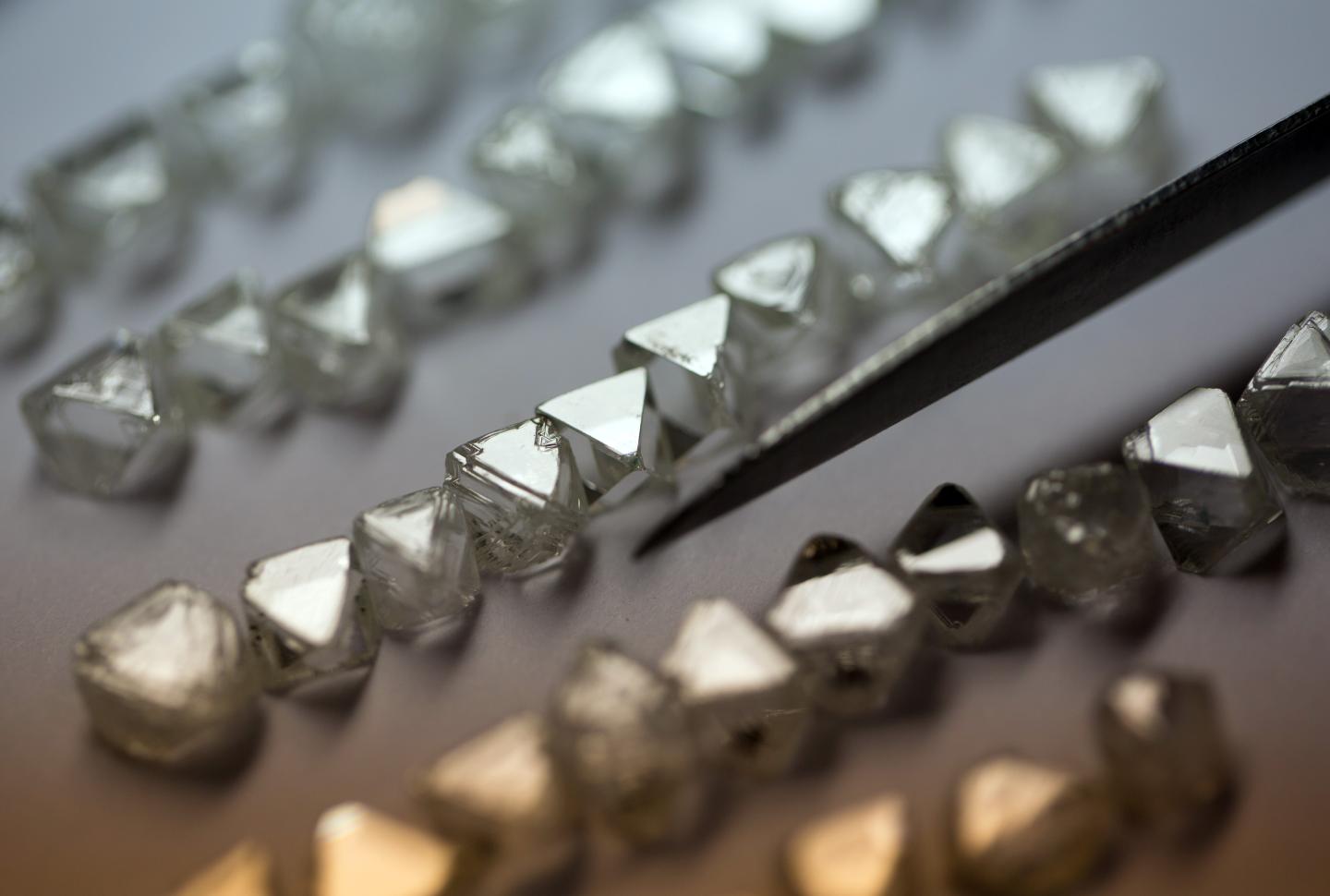 A collection of natural diamonds are seen laid in rows on a