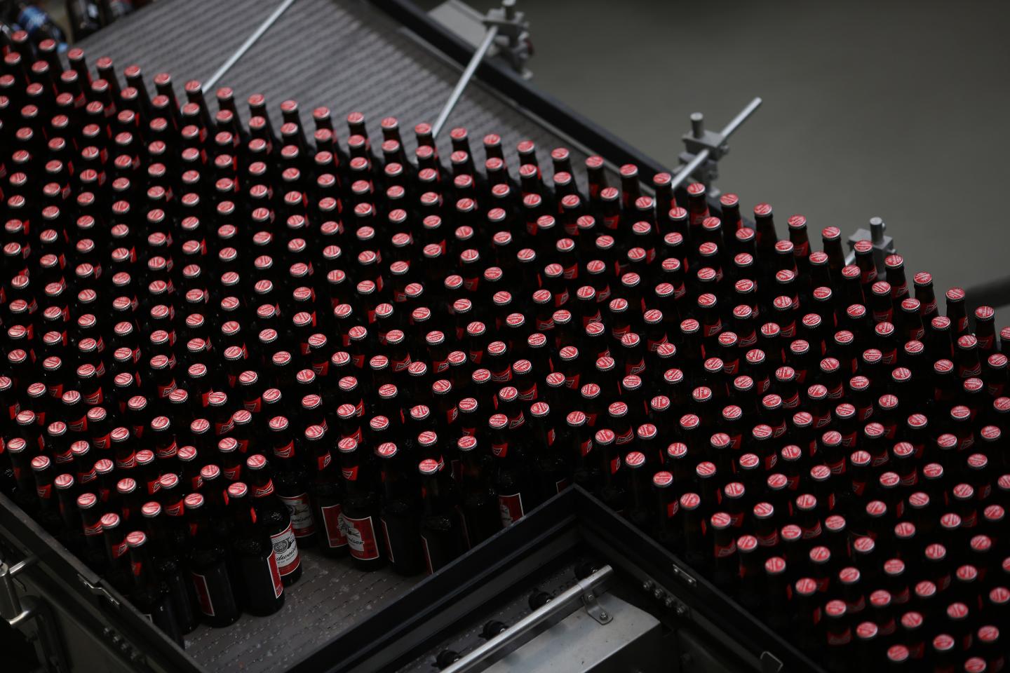 Operations Inside The Anheuser-Busch InBev Budweiser Bottling Facility Ahead Of Earnings Figures