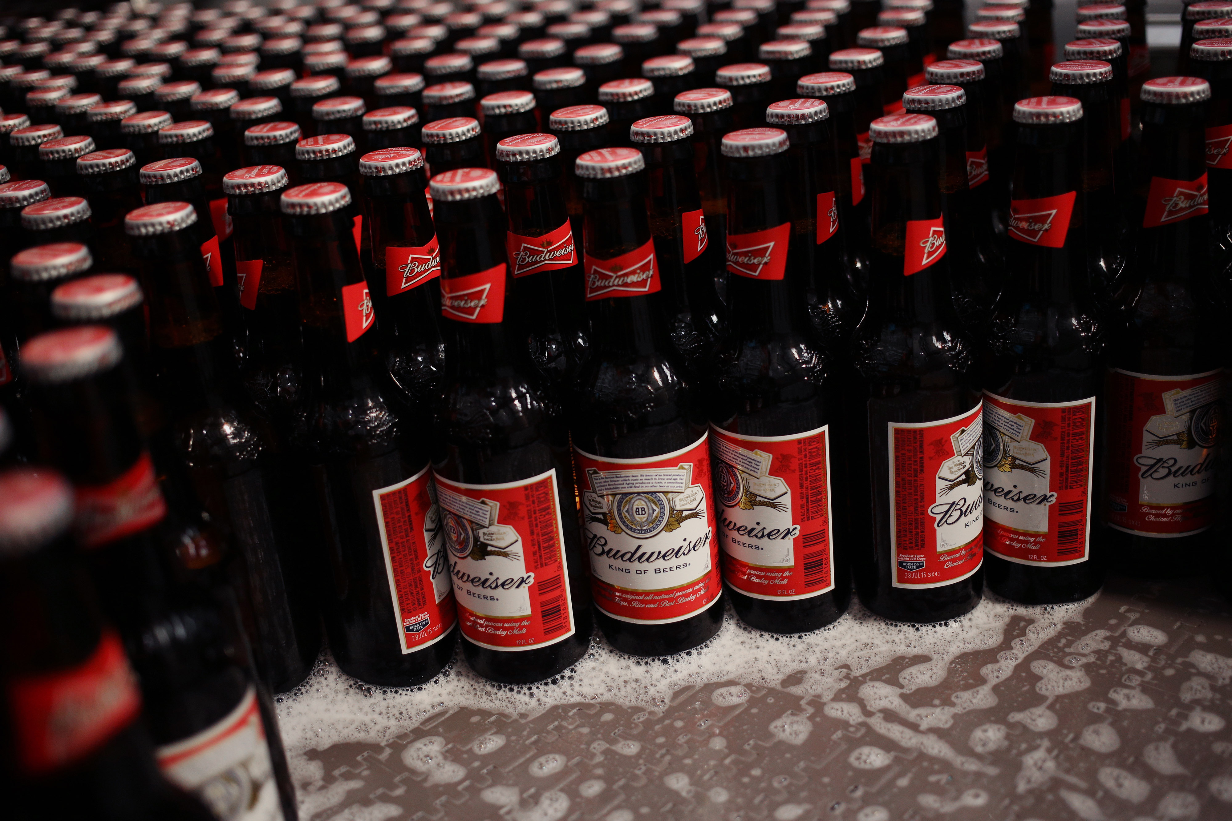 Bottles of Budweiser beer move down the bottling line at the Anheuser-Busch Budweiser brewery in St. Louis, Missouri, U.S., on Tuesday, July 28, 2015. AB InBev's next quarterly earnings are due out on July 30, 2015. Photographer: Luke Sharrett/Bloomberg