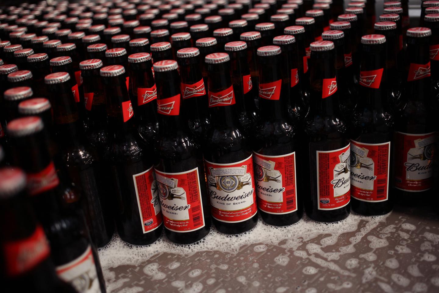 Bottles of Budweiser beer move down the bottling line at the Anheuser-Busch Budweiser brewery in St. Louis, Missouri, U.S., on Tuesday, July 28, 2015. AB InBev's next quarterly earnings are due out on July 30, 2015. Photographer: Luke Sharrett/Bloomberg