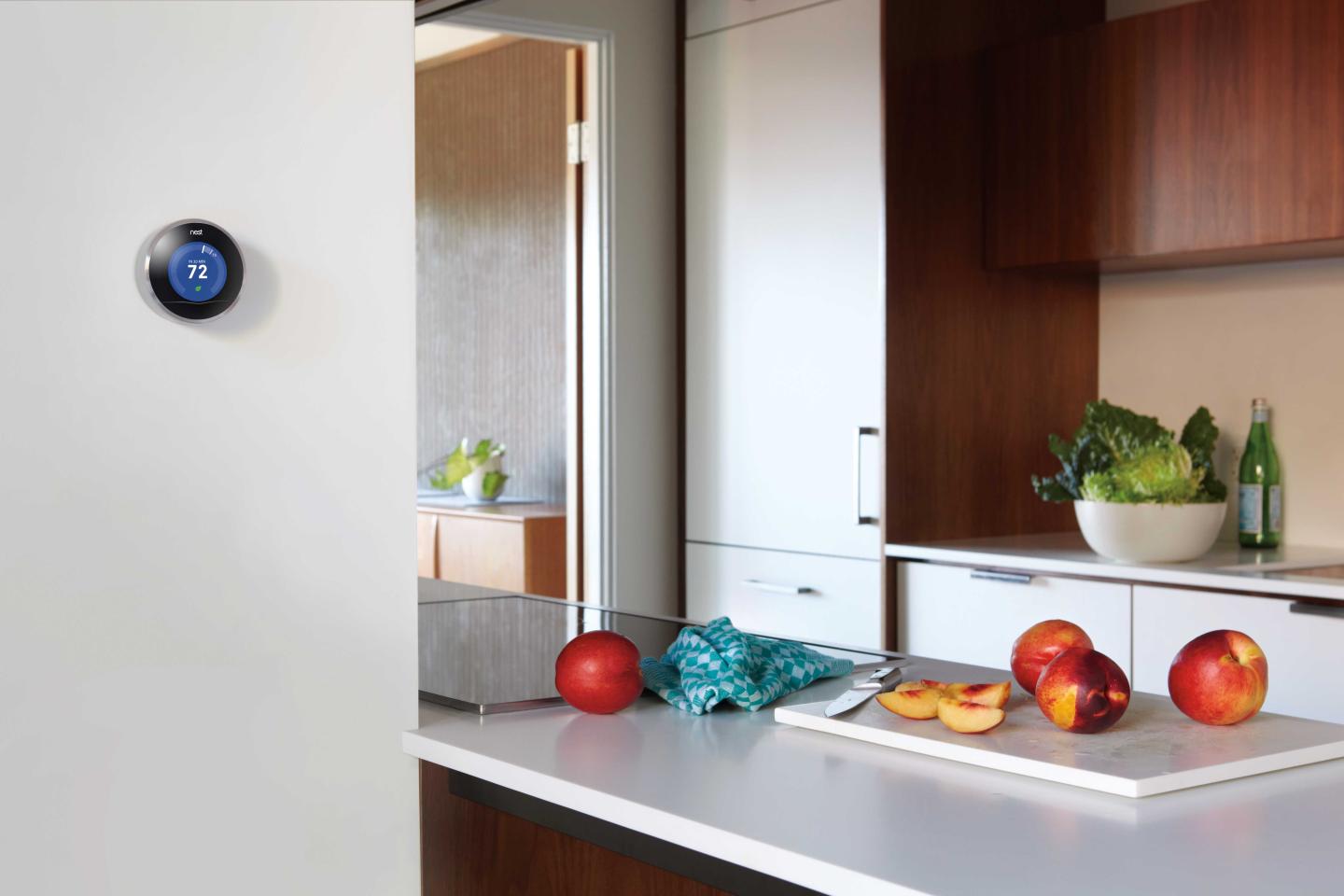 Nest Labs Inc.