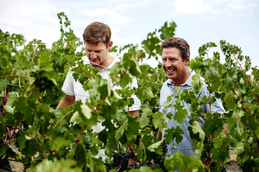 Ex-quarterbacks Dan Marino and Damon Huard start a high-scoring winery