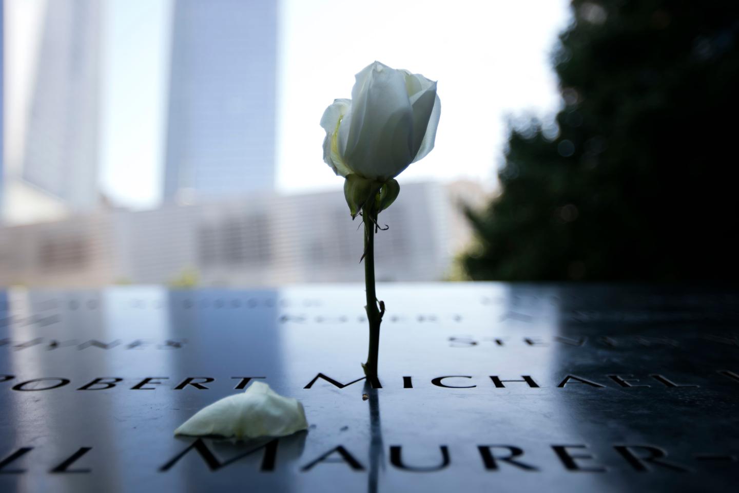 These children were born on 9/11 and here’s what they’re asking us to do