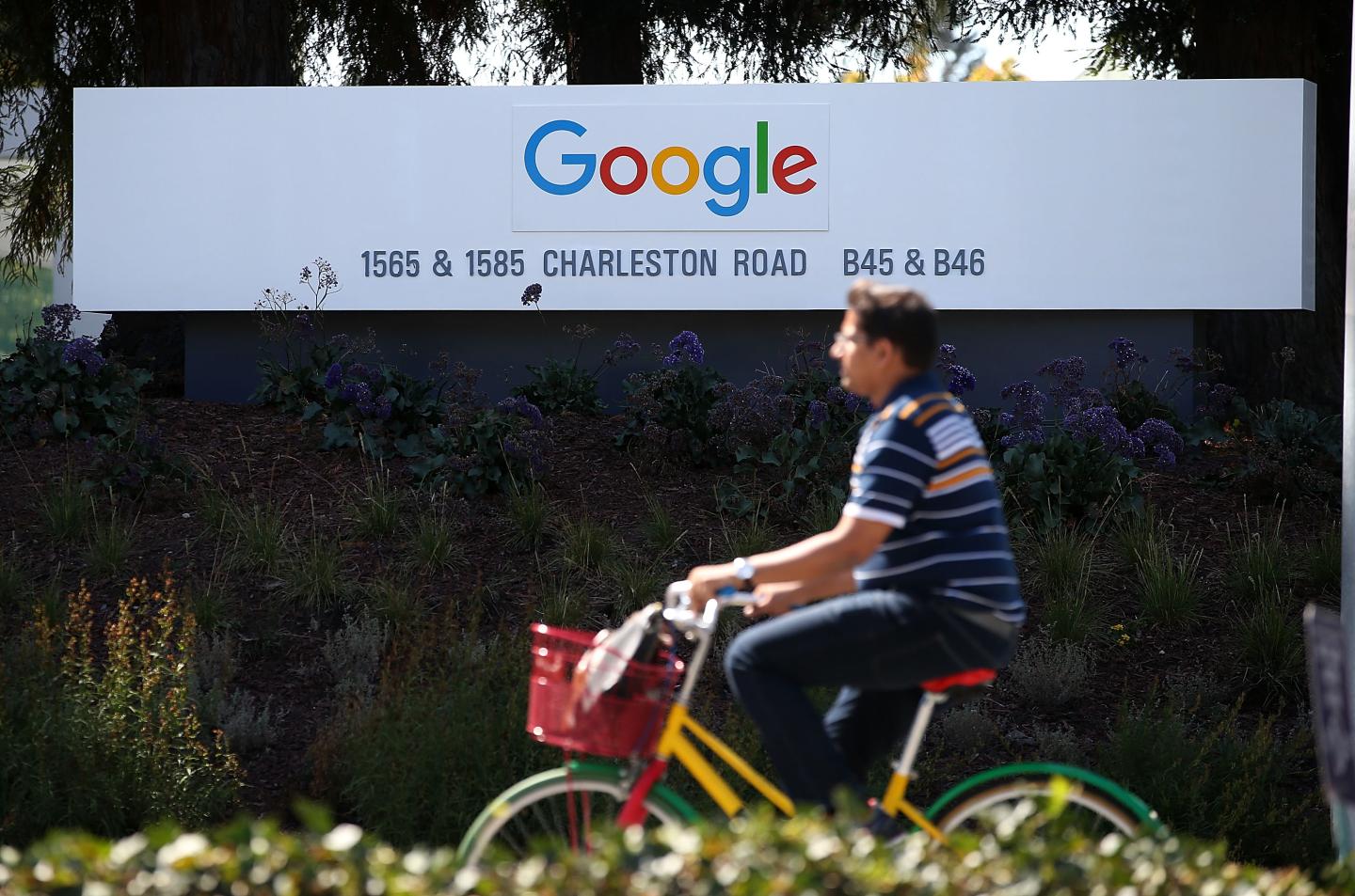 Google Updates Its Logo