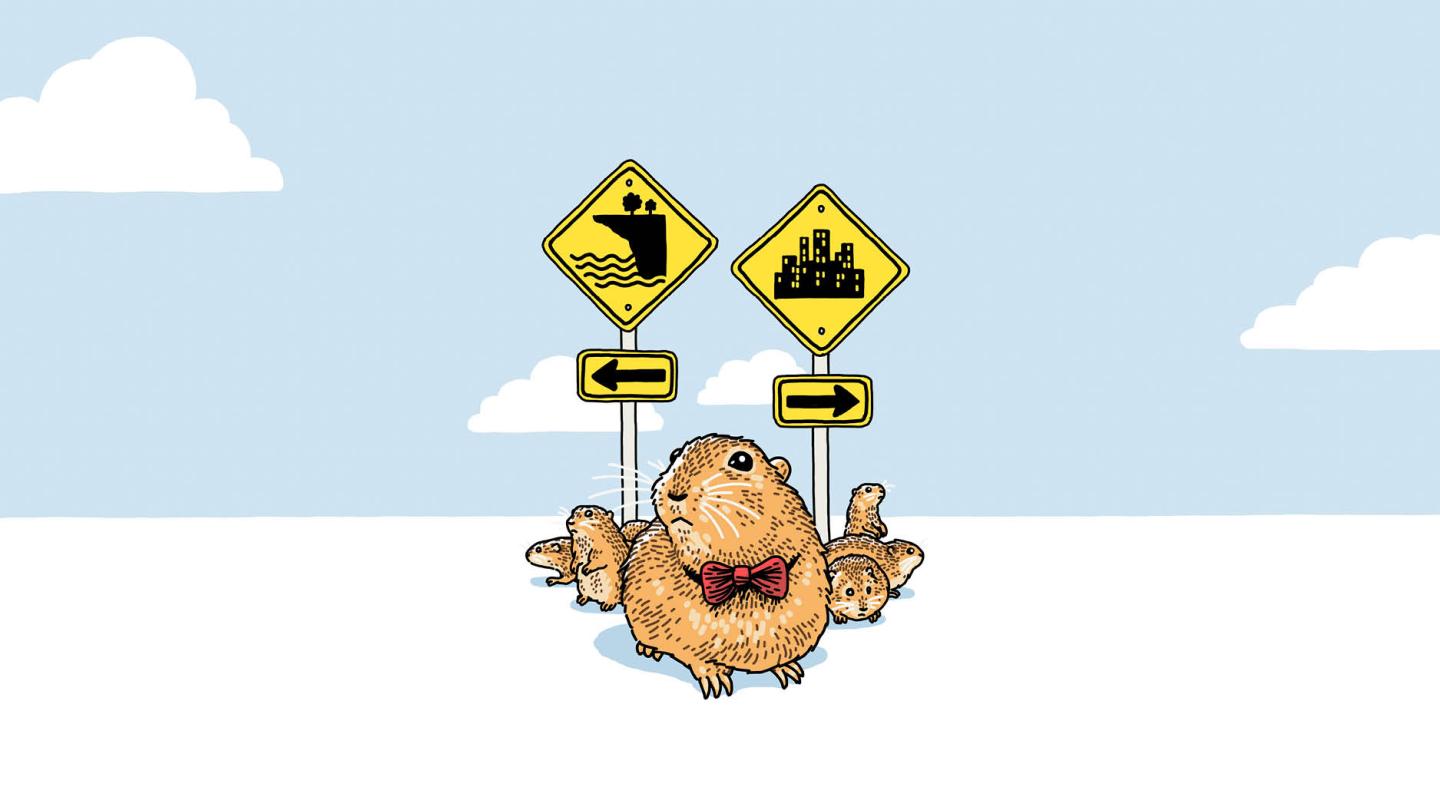 Exclusive: Interview with a lemming