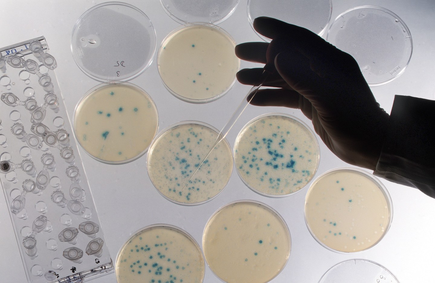 Symbolic - biotechnology - genetic engineering