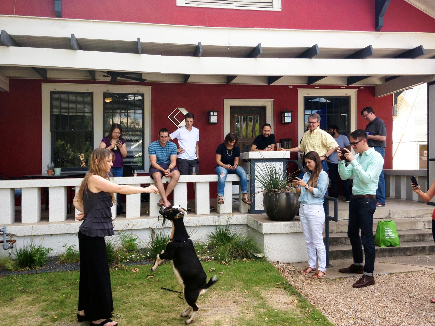A goat-loving startup in Austin is shepherding talent with great culture
