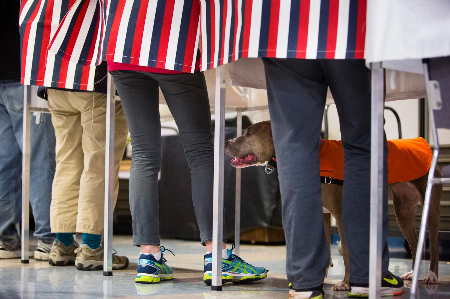Election Day Voting